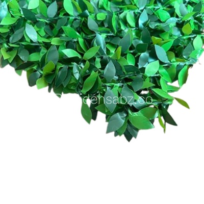 فنس برگ ریحانی | ایده سبز