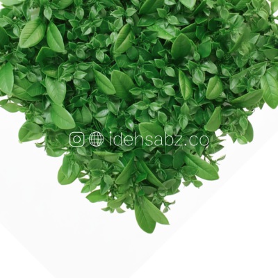 پنل گرین وال انبه پرتقالی سبز | ایده سبز