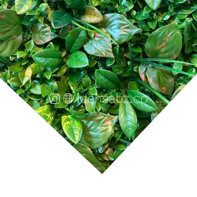 پنل گرین وال ترکیبی | ایده سبز