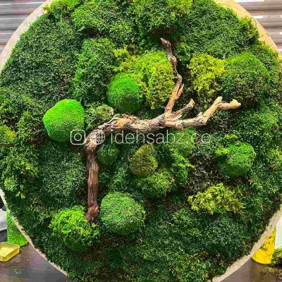 تابلو خزه‌ای قطر 90 سانتی متر | ایده سبز