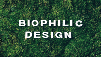 طراحی بیوفیلیک | شرکت ایده سبز