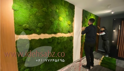 نصب دیوار سبز خزه ای برای شرکت پژواک فخر تجارت | مجری شرکت ایده سبز