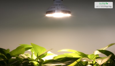 کاربرد لامپ رشد گیاه در معماری سبز | شرکت ایده سبز