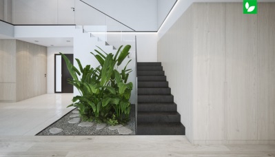 گلخانه زیر پله دوبلکس، طراحی گلخانه در فضای داخلی | شرکت ایده سبز