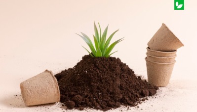 آشنایی با انواع خاک‌ در محوطه سازی | شرکت ایده سبز
