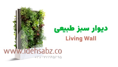 طراحی دیوار سبز طبیعی با بهترین کیفیت و مناسب‌ترین قیمت  | شرکت ایده سبز