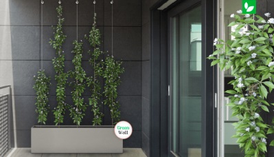 دیوار سبز کابلی | شرکت ایده سبز