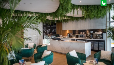 ایده‌هایی سبز برای طراحی سقف کافه و رستوران | شرکت ایده سبز