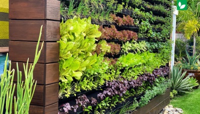 آشنایی با گیاهان دیوار سبز | گرین وال