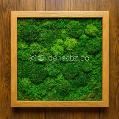 تابلو خزه‌ ای مربعی | ایده سبز