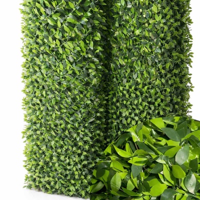 فنس برگ ریحانی | ایده سبز