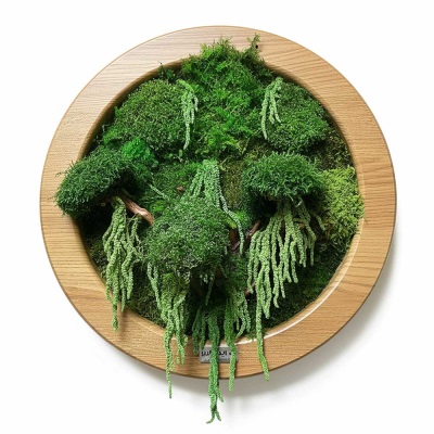 تابلو خزه‌ای دایره‌ای | همراه با شاخه و آویز آمارانتوس