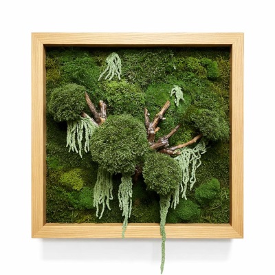 تابلو خزه‌ای فریم مربعی | با شاخه و آویز آمارنتوس 