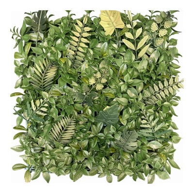 خرید گرین وال هاوایی پرتقالی | ایده سبز