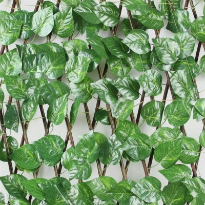 خرید دیوار سبز آکاردئونی | حصار آکاردئونی برگدار