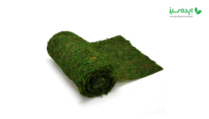 Preserved Moss Roll
