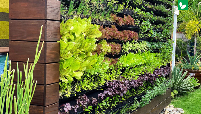 آشنایی با گیاهان دیوار سبز | گرین وال