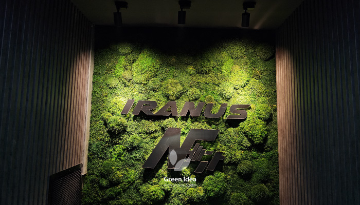 نمونه کار ماس‌وال ورودی باشگاه ایرانوس ان‌فیت