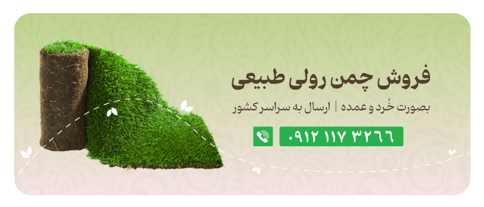 فروش چمن رولی طبیعی | خرد و عمده | ارسال به سراسر کشور