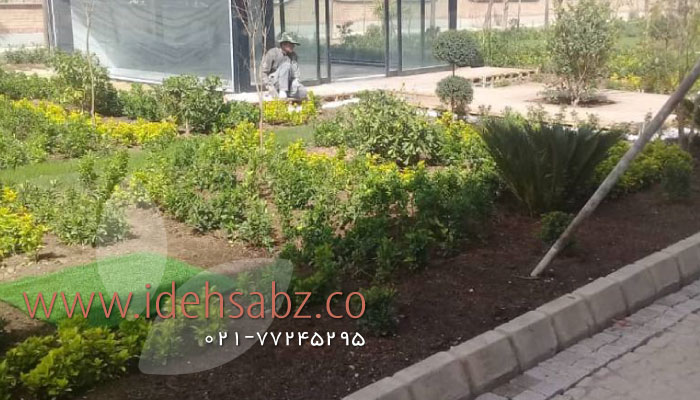 فضای سبز کارخونه پلاستیک پرند | شرکت ایده سبز