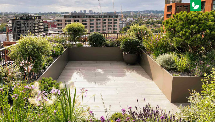 معرفی گیاهان مناسب روف گاردن | انواع درختچه و گیاهان همیشه سبز