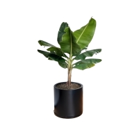 فلاورباکس فایبرگلاس استوانه | ایده سبز