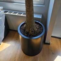 فلاورباکس فایبرگلاس استوانه قطر دهانه 60 | ایده سبز