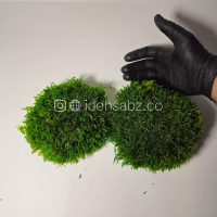 خزه تثبیت شده توپی شیت | سبز تیره