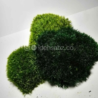 خزه مود ماس | رنگبندی