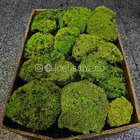 پک خره بال ماس | سبز