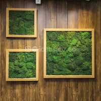 تابلو خزه‌ای مربعی | ابعاد مختلف