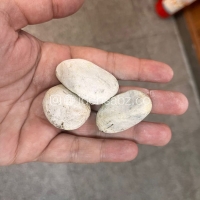 قلوه سنگ رودخانه ای | بادامی