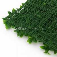 نمای پشت گرین وال برگ پرتقالی | ایده سبز