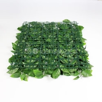 نمای پشت پنل گرین وال برگ پتوس | ایده سبز