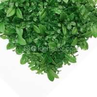 پنل گرین وال انبه پرتقالی سبز | ایده سبز