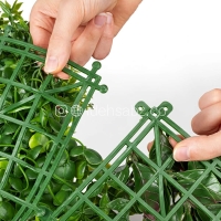 نمای پشت پنل گرین وال انبه پرتقالی | ایده سبز