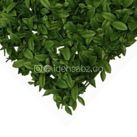 پنل گرین وال آکوبا پرتقالی سبز | ایده سبز