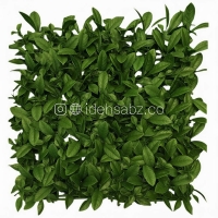 پنل گرین وال آکوبا پرتقالی | سبز