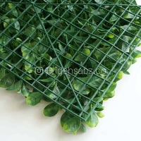 نمای پشت پنل گرین وال آکوبا پرتقالی | ایده سبز