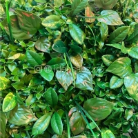 پنل دیوار سبز ترکیبی | ایده سبز