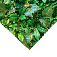 پنل گرین وال ترکیبی | ایده سبز