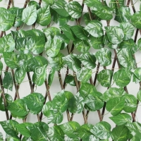 پنل گرین وال آکاردئونی | پتوس