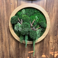 تابلو خزه‌ای قطر 50 سانتی‌متر | ایده سبز