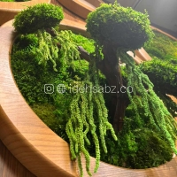 تابلو خزه‌ای سه بعدی با آویز آمارانتوس | ایده سبز