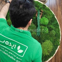 تابلو خزه‌ای تثبیت شده | ایده سبز