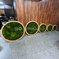 تنوع سایز تابلو خزه‌ای | ایده سبز