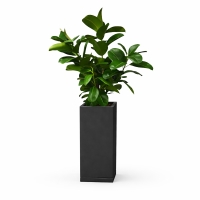 فلاورباکس فایبرگلاس ایستاده | ایده سبز