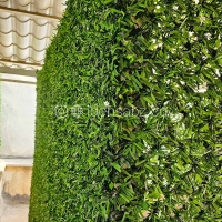 فنس چمنی پرتراکم | ایده سبز