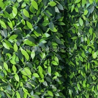 فنس برگ ریحونی