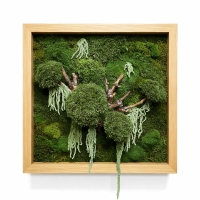 تابلو خزه‌ای فریم مربعی | با شاخه و آویز آمارنتوس 